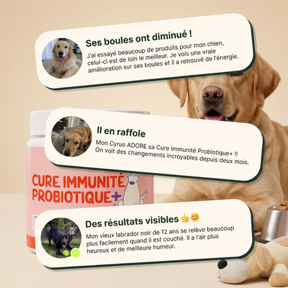 Cure Immunité Probiotique+