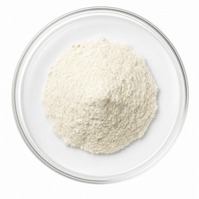 Lactobacillus Acidophilus